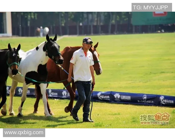马球场上风采依旧 足坛明星马球之路探秘